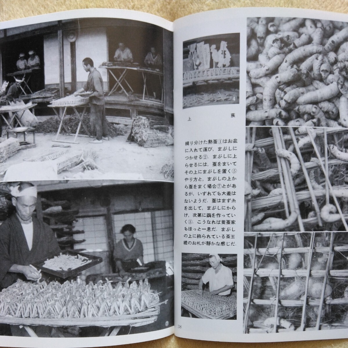 岩波写真文庫〈復刻ワイド版〉58 かいこの村　1953_画像8