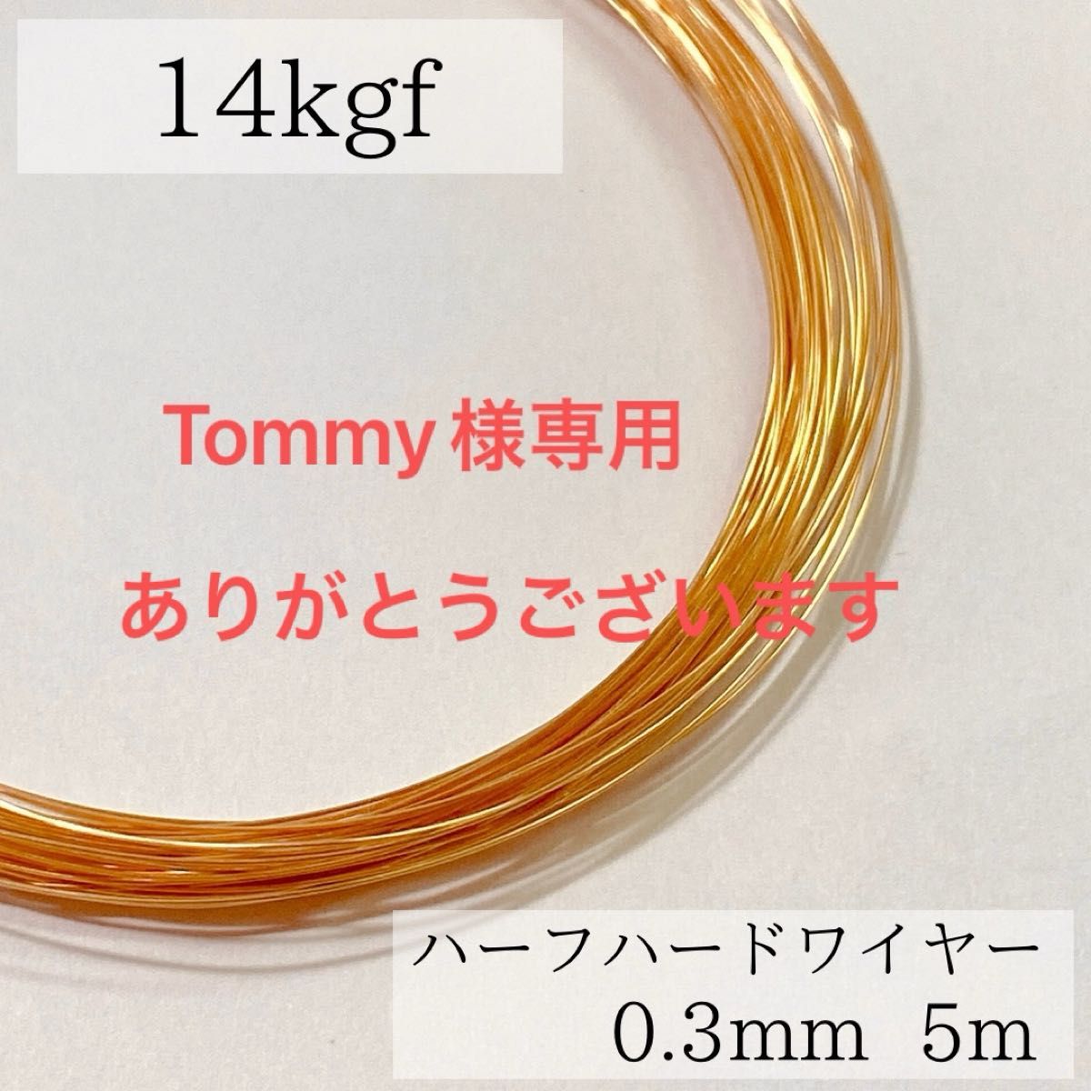 Tommy様専用高品質　14kgf  ハーフハードワイヤー　0.3mm  60m