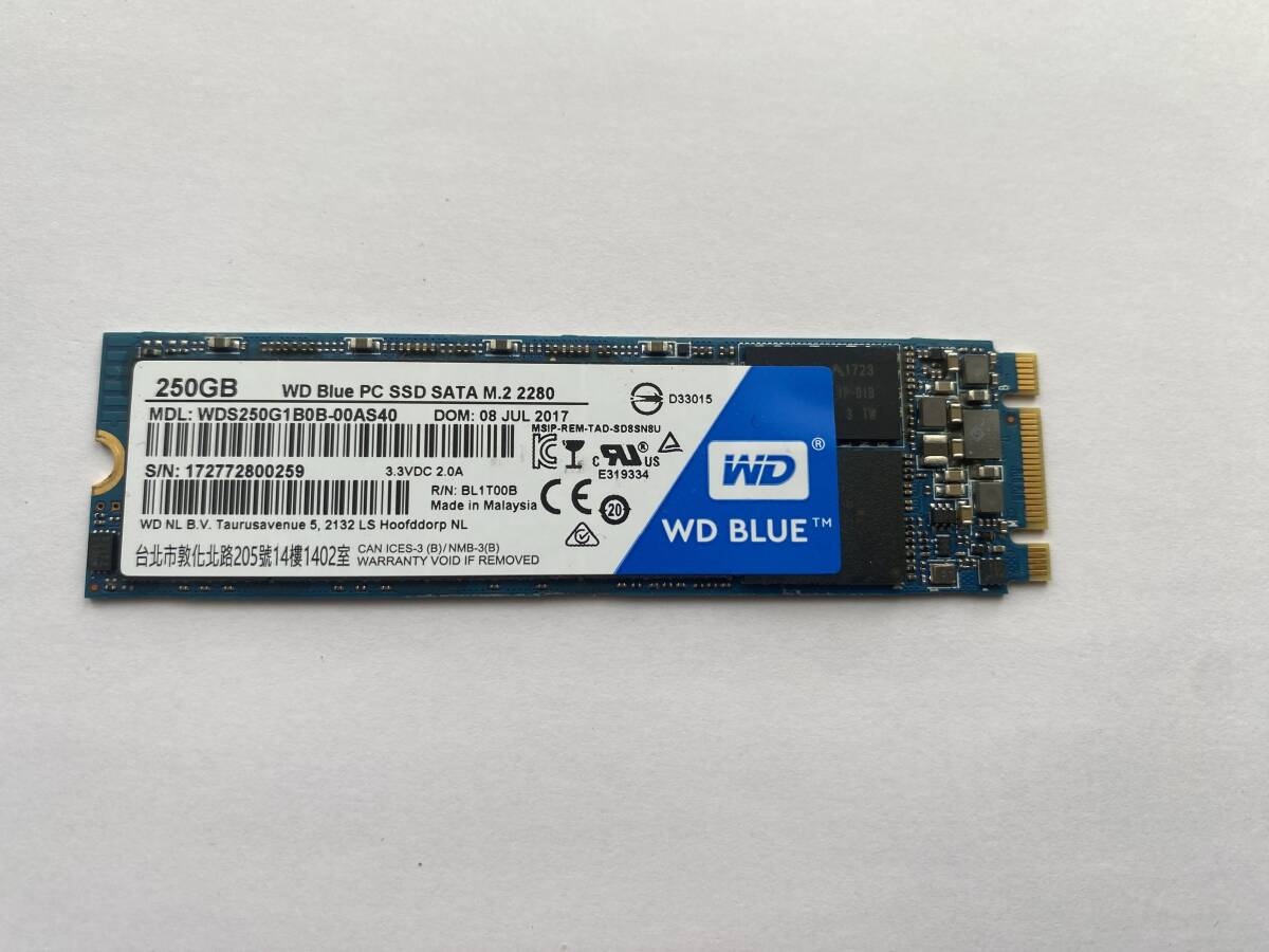 WD BLUE 250GB M.2 SSD 送料無料　フォーマット済み　_画像5