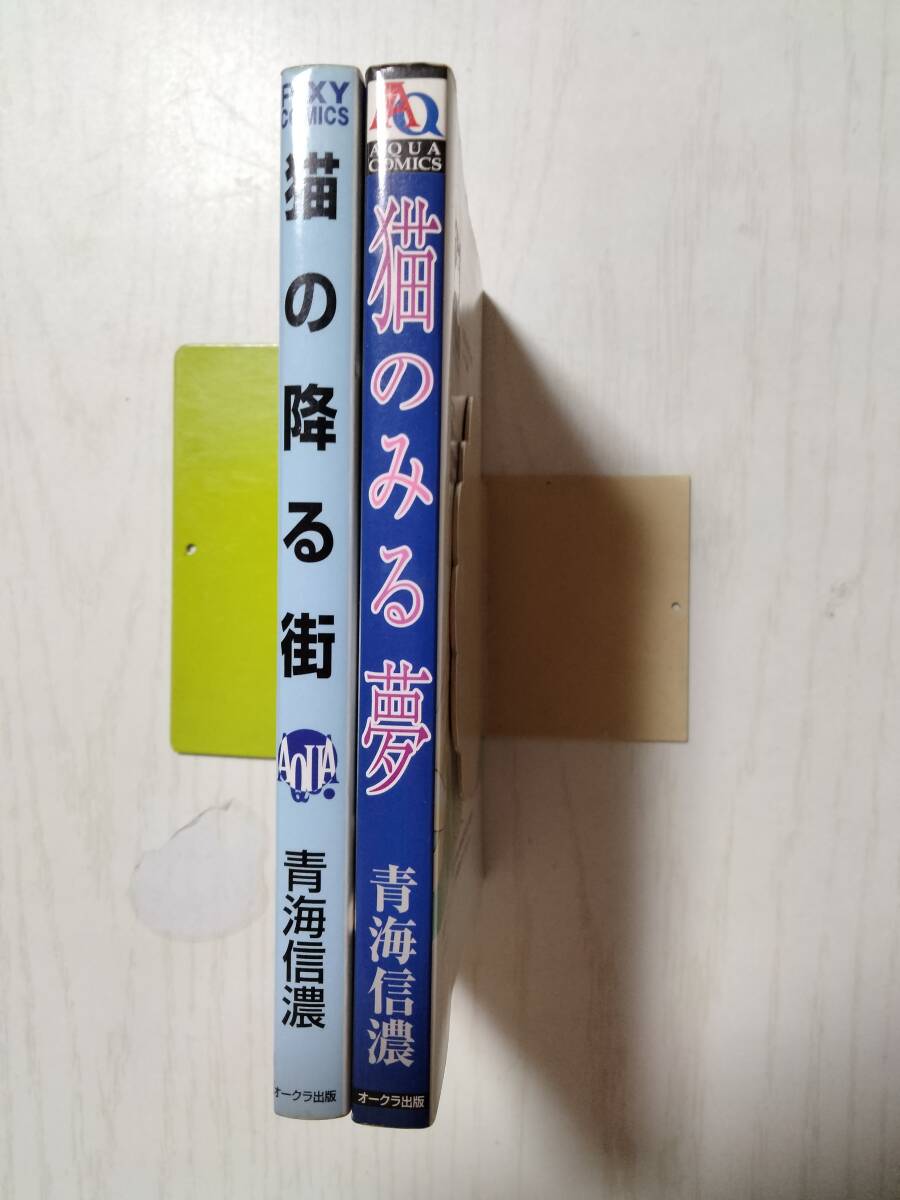 青海信濃/猫のみる夢/猫の降る街　(送料160円～)_画像6