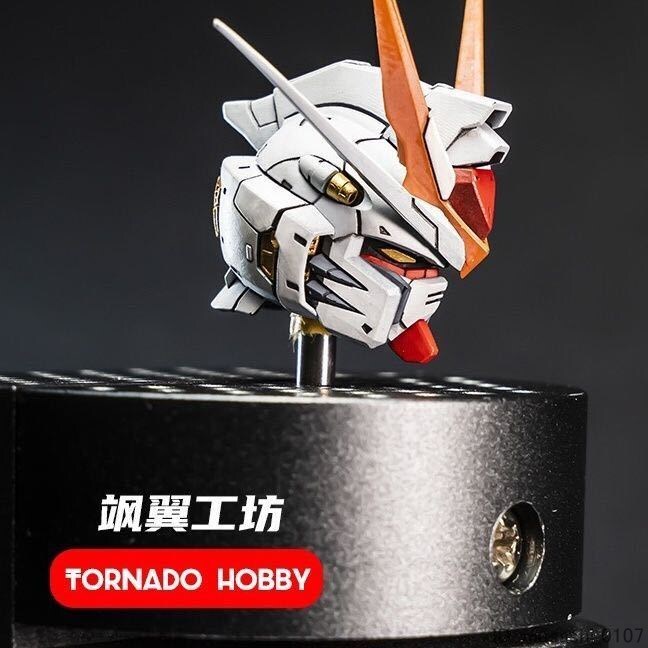 ストライクフリーダムヘッド 1/100 MG Master HOBBY Head ガレージキット TORNADO MHM uz-095_画像2