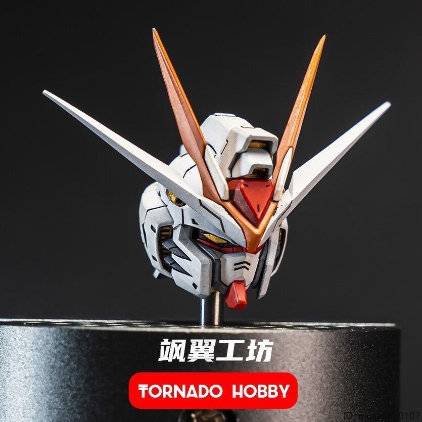 ストライクフリーダムヘッド 1/100 MG Master HOBBY Head ガレージキット TORNADO MHM uz-095_画像1