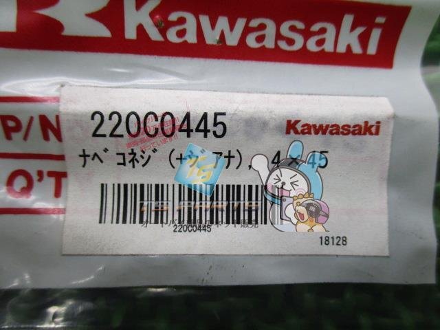 エリミネーター250V フューエルコックスクリュー 在庫有 即納 カワサキ 純正 新品 バイク 部品 車検 Genuine Z1000P ポリス1000_220AB0445