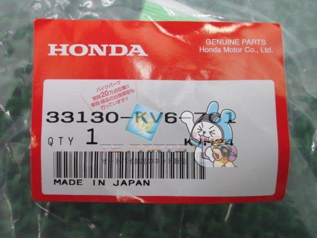 XR250 ヘッドライトソケット 在庫有 即納 ホンダ 純正 新品 バイク 部品 MD30 車検 Genuine XLR250_33130-KV6-701