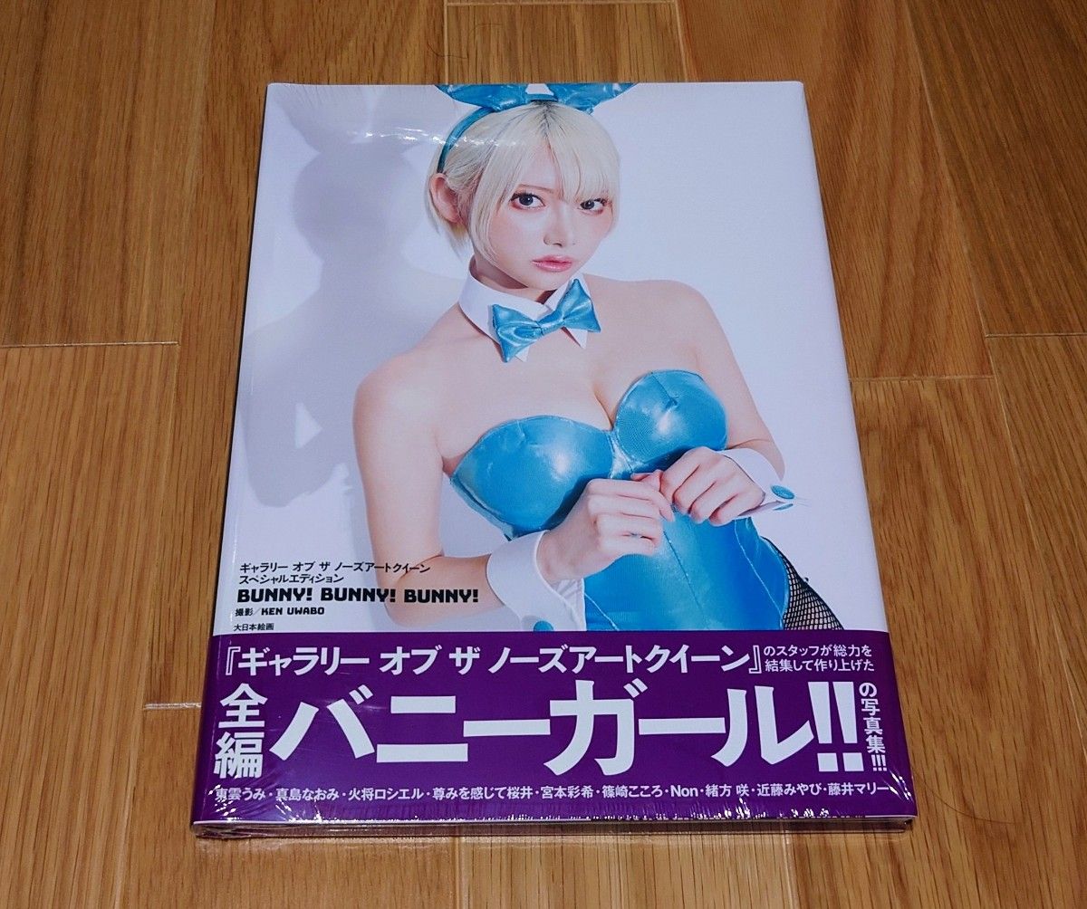 未開封品ギャラリー オブ ザ ノーズアートクイーン スペシャルエディションBUNNY!BUNNY!BUNNY! 篠崎こころ 特装版 未開封品ギャラリー オブ ザ ノーズアートクイーン スペシャルエディションBUNNY!BUNNY!BUNNY! 篠崎こころ 特装版