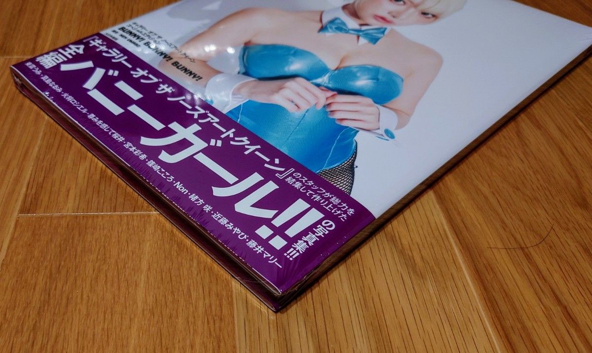 未開封品ギャラリー オブ ザ ノーズアートクイーン スペシャルエディションBUNNY!BUNNY!BUNNY! 篠崎こころ 特装版 未開封品ギャラリー オブ ザ ノーズアートクイーン スペシャルエディションBUNNY!BUNNY!BUNNY! 篠崎こころ 特装版
