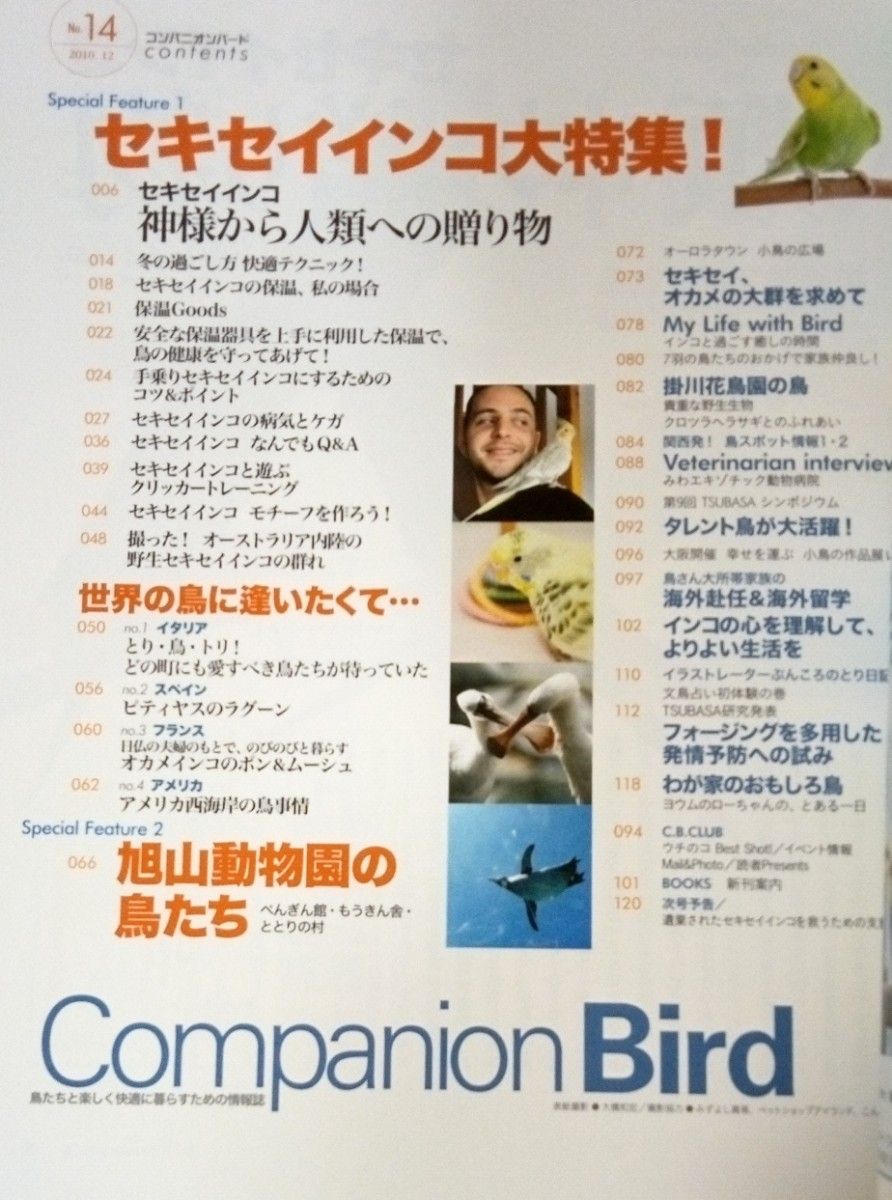 Companion Bird　コンパニオンバード　No.14