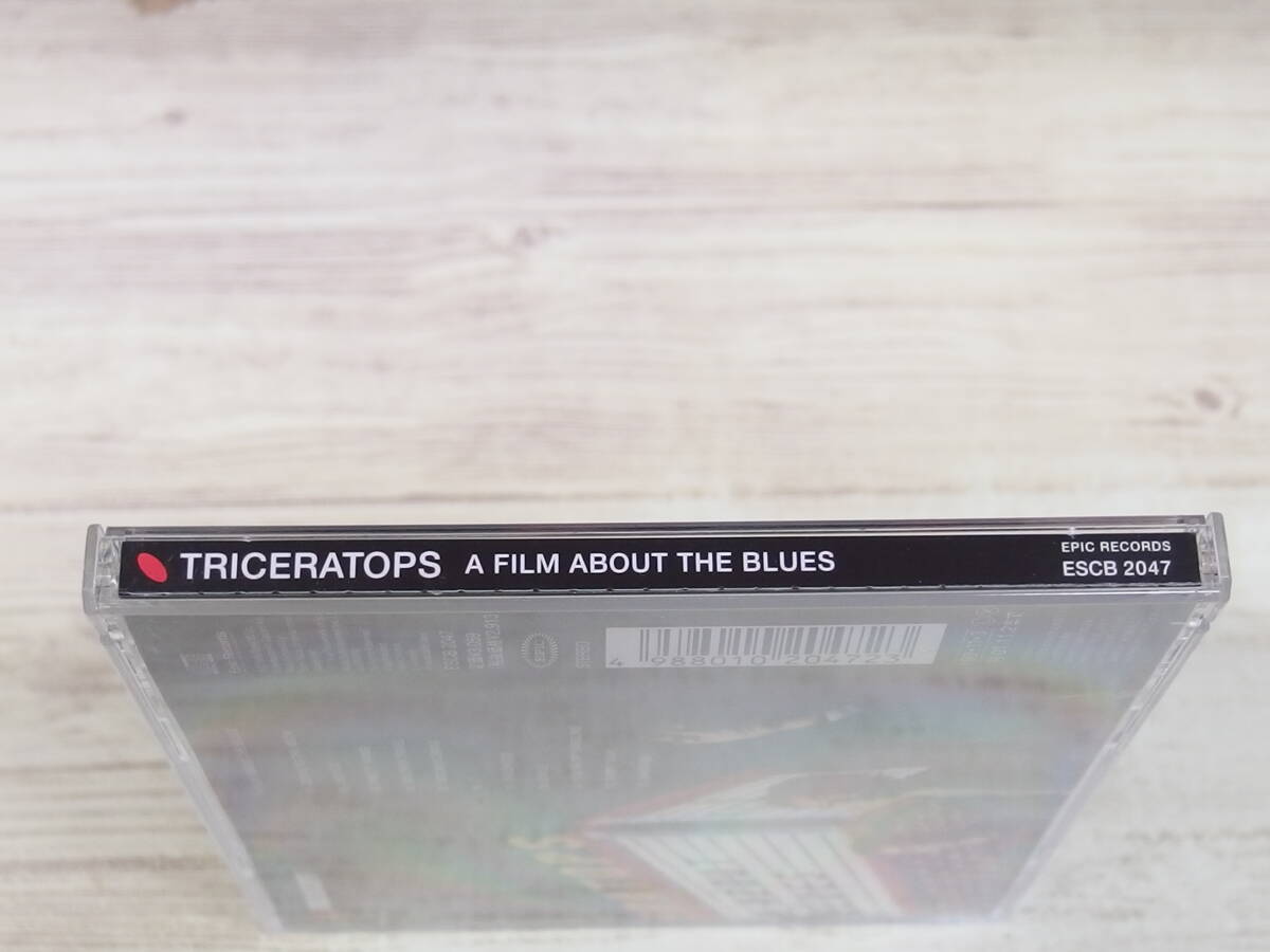 CD / A FILM ABOUT THE BLUES / TRICERATOPS /『D40』/ 中古_画像3