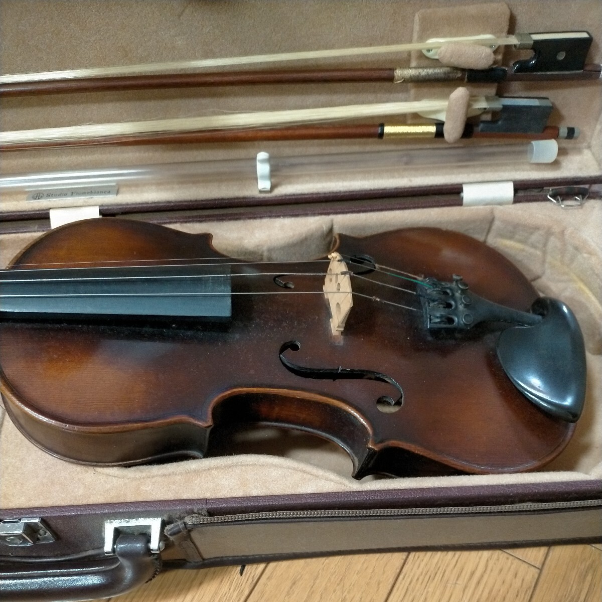  violin bow hard case 