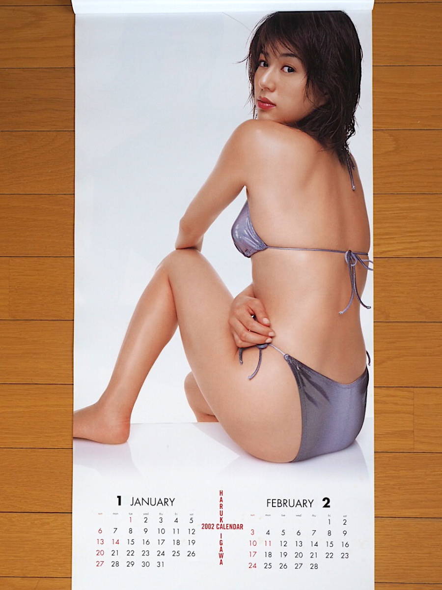 2002 year Igawa Haruka B3 cut calendar unused storage goods 