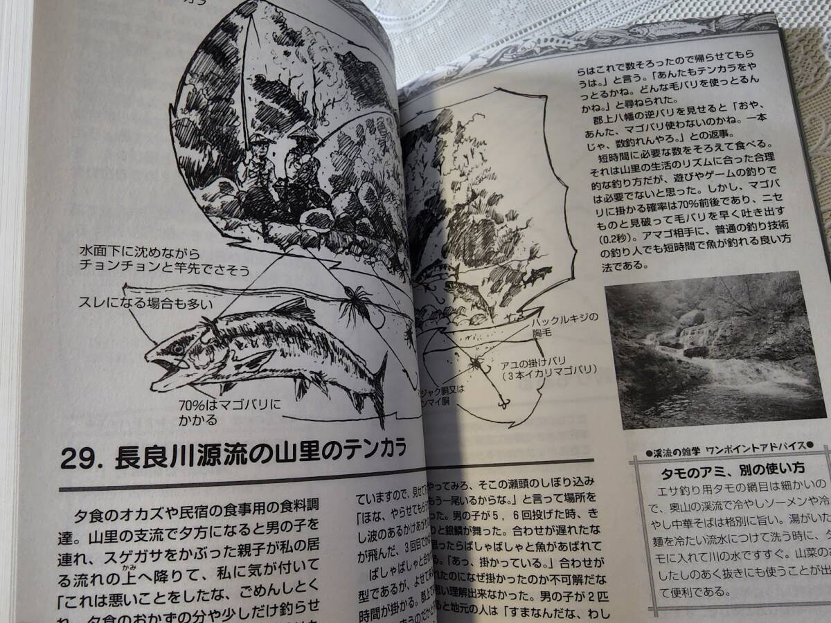 里山の自然と【秘伝】郡上釣り　絵解き・郡上釣りの知恵と極意　渓流釣り/鮎/アマゴ/イワナ/毛鉤/テンカラ_画像7