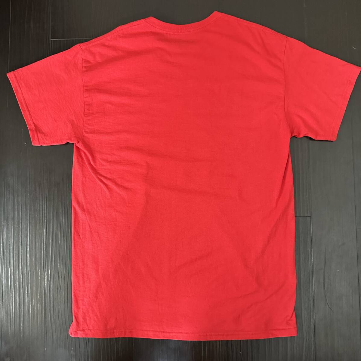 GILDAN ノートリアス・BIG Tシャツ　ラップ・ヒップホップTシャツ　Lサイズ　ビックサイズ　オーバーサイズ