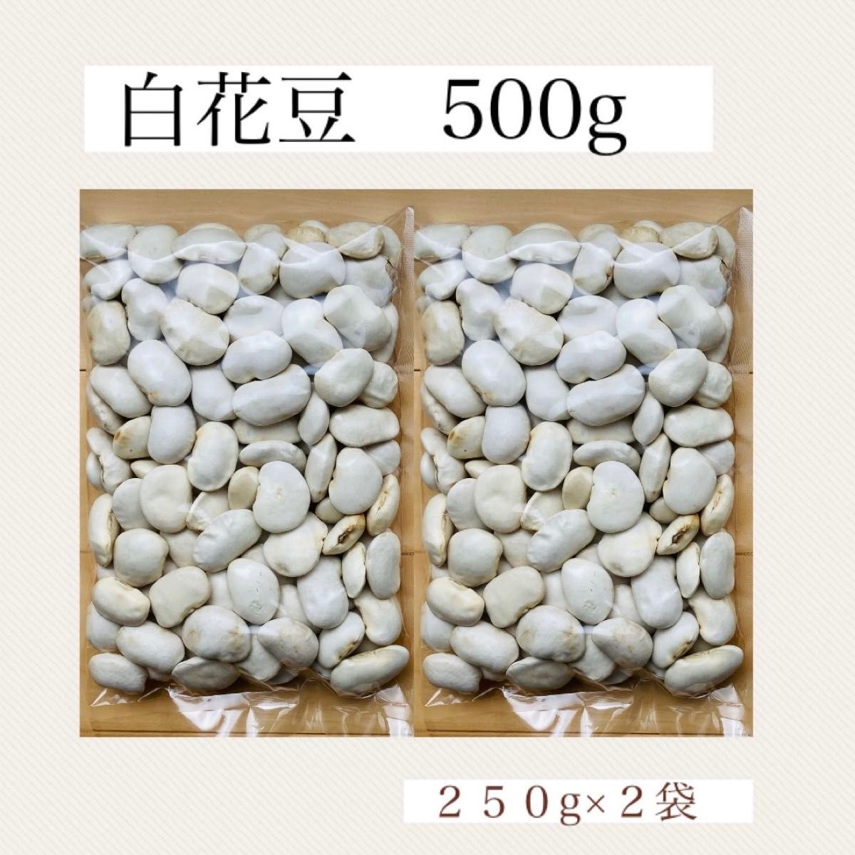 【２格５００g】令和５年度 北海道産 白花豆 乾燥豆　豆