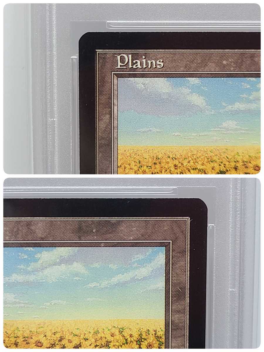 現在世界に4枚のみ MTG PSA10 APACランド ひまわり 平地 Plains 現在世界に4枚のみ MTG PSA10 APACランド ひまわり 平地 Plains