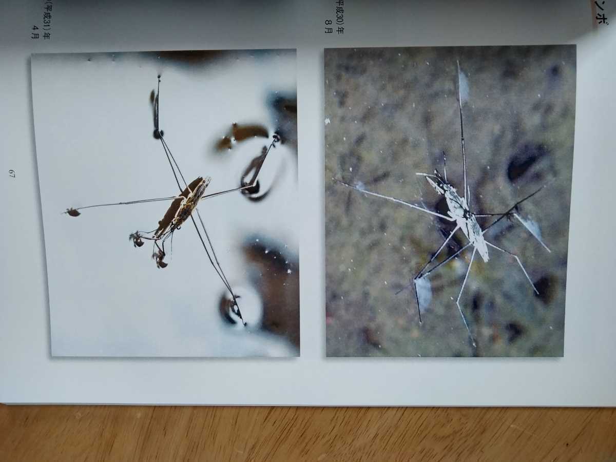 【新品】写真集 横浜市旭区 憩いの空間 中堀川プロムナード 生き物 昆虫 景色 柳澤美光 弘報印刷株式会社 たすけあいハウス 写真同好会