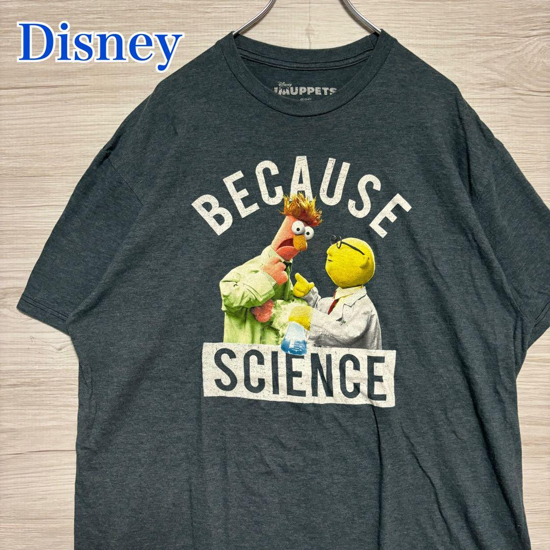 【入手困難】Disney ディズニー　ザ・マペッツ マペットショー　Tシャツ　XLサイズ　半袖　海外輸入　一点物　キャラクター　ヴィンテージ_画像1
