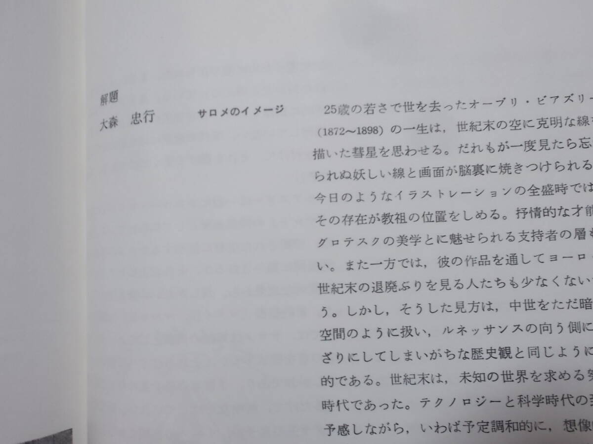 ビアズリーのイラストレーション　解説/大森忠行(岩崎美術社 双書美術の泉14 1989年)送料116円_画像8