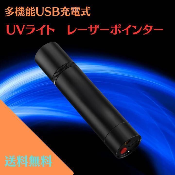 USB充電式多機能UVライト（ブラックライト）レーザーポインター（レッド）の画像1