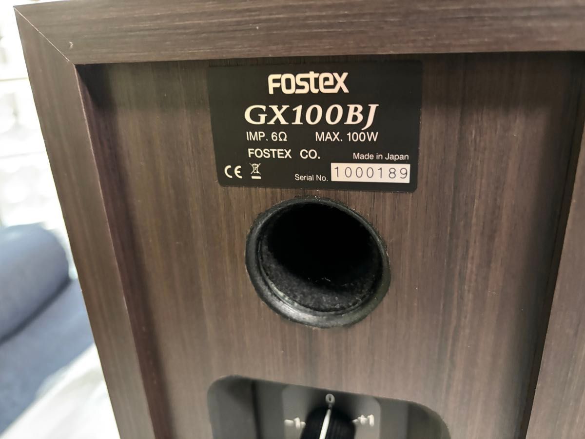 FOSTEX GX100BJ　2本セット フォステクス