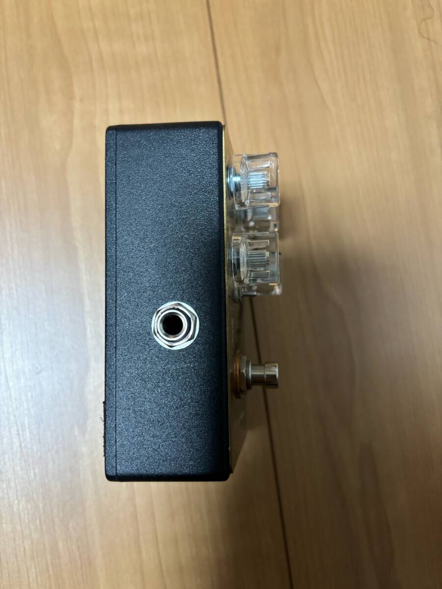 DAITA 使用 G-LIFE GUITARS/Ovaltone GEMINI BOOSTER の画像5