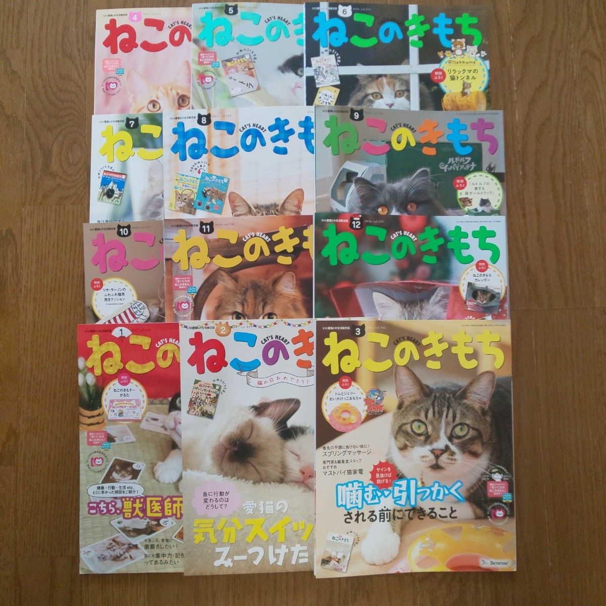 ねこのきもち 12冊