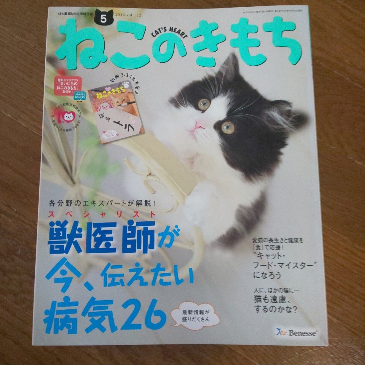 ねこのきもち 12冊