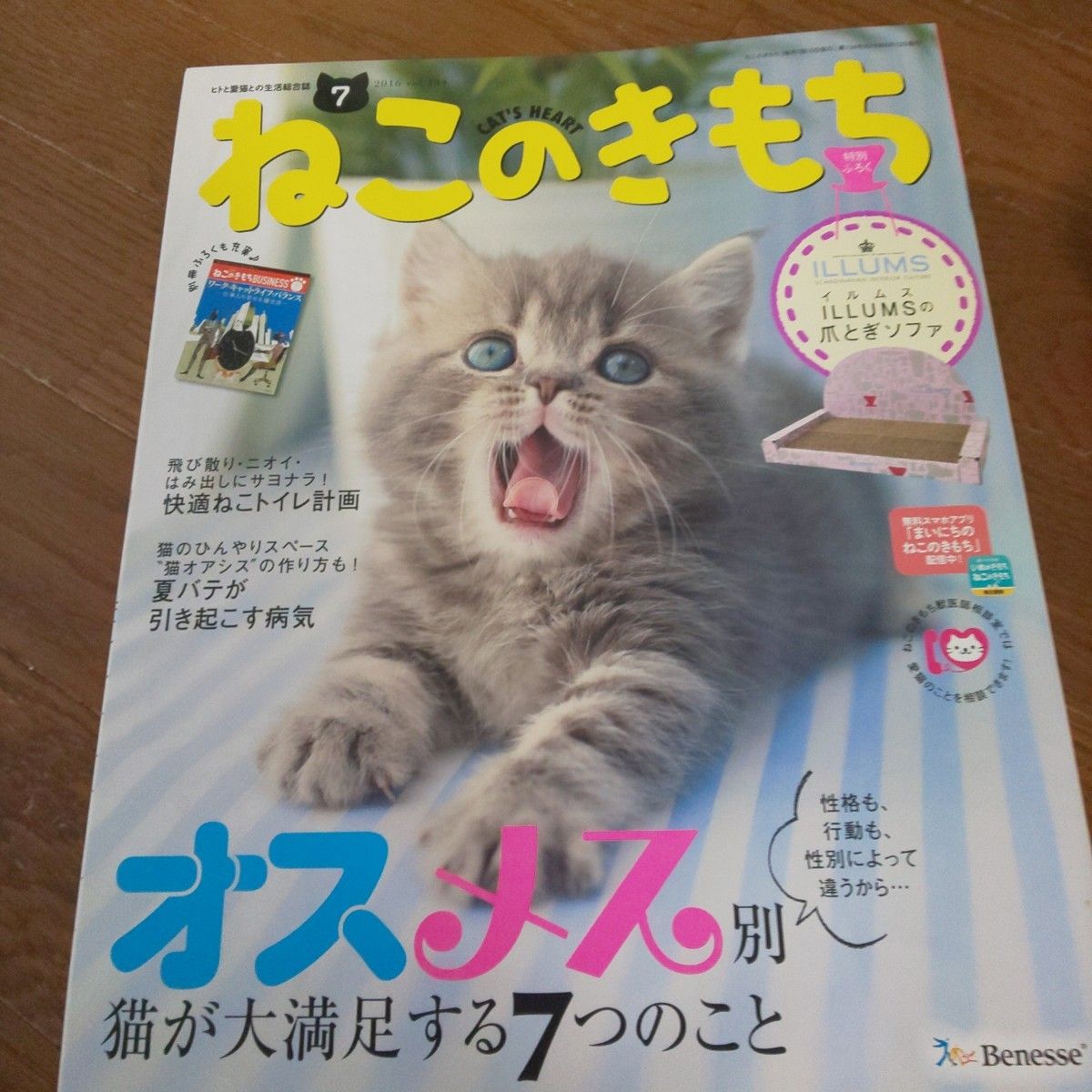 ねこのきもち 12冊