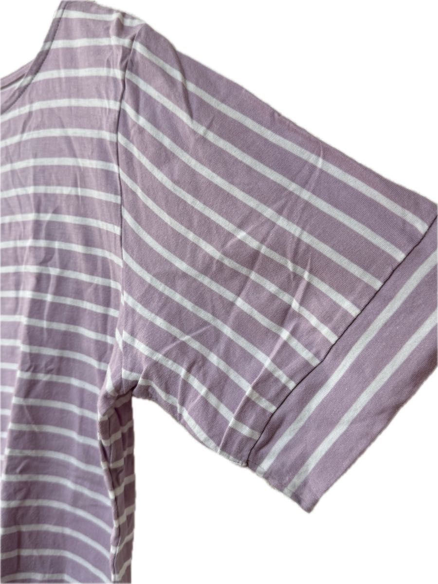 【最終SALE】ボーダー Tシャツ カットソー 半袖カットソー 半袖トップス 半袖Tシャツ　パープル　藤色　薄紫　半袖
