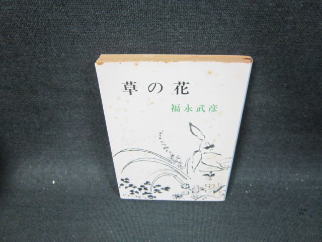 草の花　福永武彦　新潮文庫　日焼け強カバーシミ多/UBZA_画像1