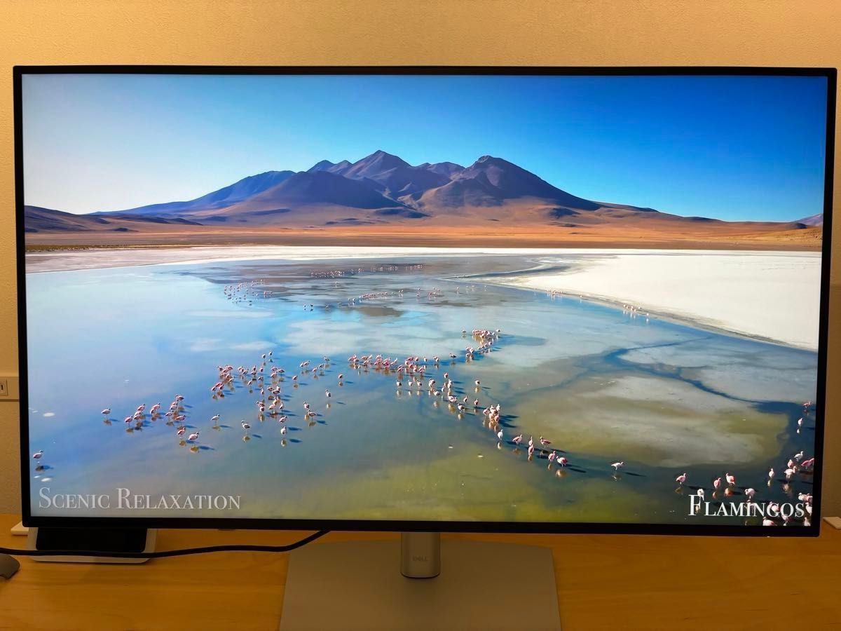 【使用5ヶ月美品】Dell U3223QE 31.5インチ デジタルハイエンド4K モニター