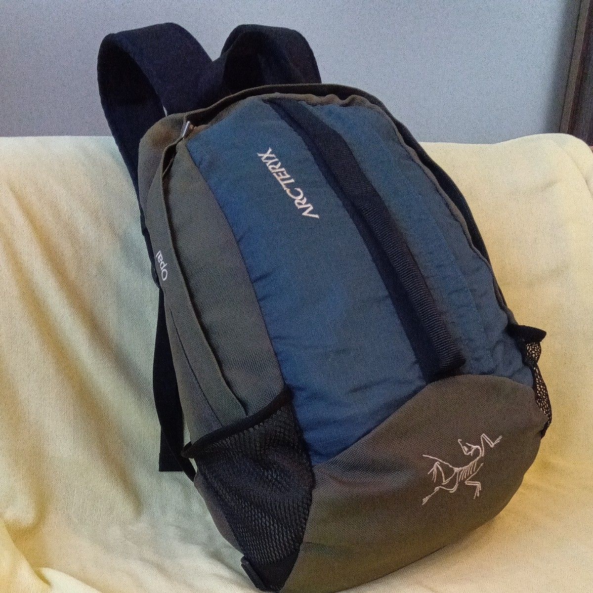 アークテリクス ARC'TERYX リュック|Yahoo!フリマ(旧PayPay アークテリクス ARC'TERYX リュック|Yahoo!フリマ(旧PayPay