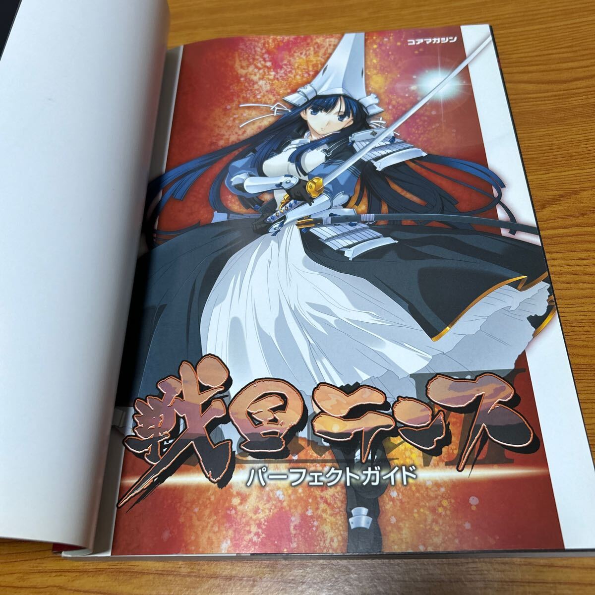  Sengoku Ran s Perfect guide Alice soft official 2007 year the first version Coremagazine 