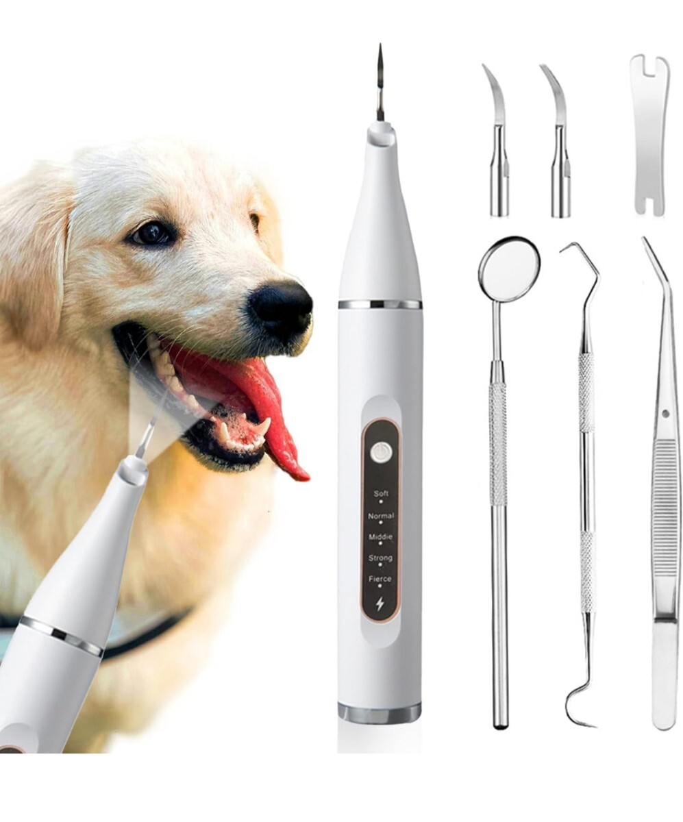 犬用歯ブラシ犬歯ブラシ 猫用歯ブラシ IPX6防水 猫・犬兼用 USB充電式_画像1