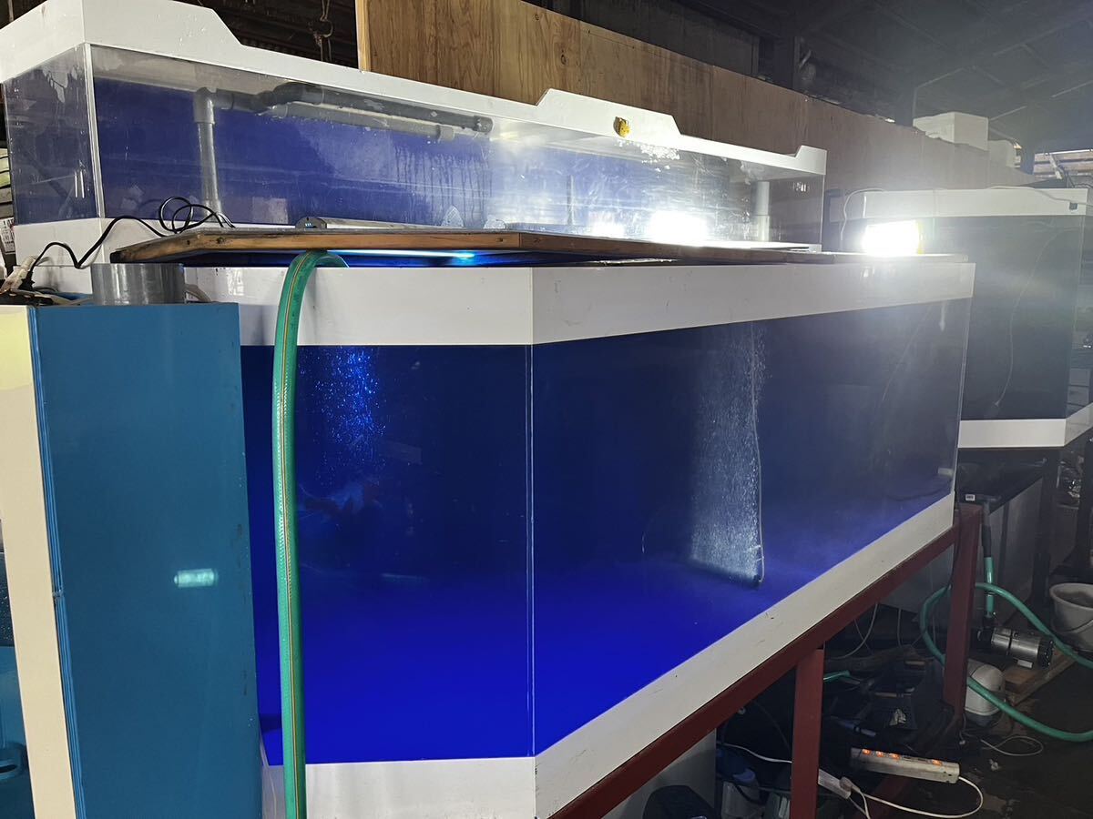 [ Junior ] rare! unusual shape 2 step acrylic fiber aquarium!2500×1000×800h