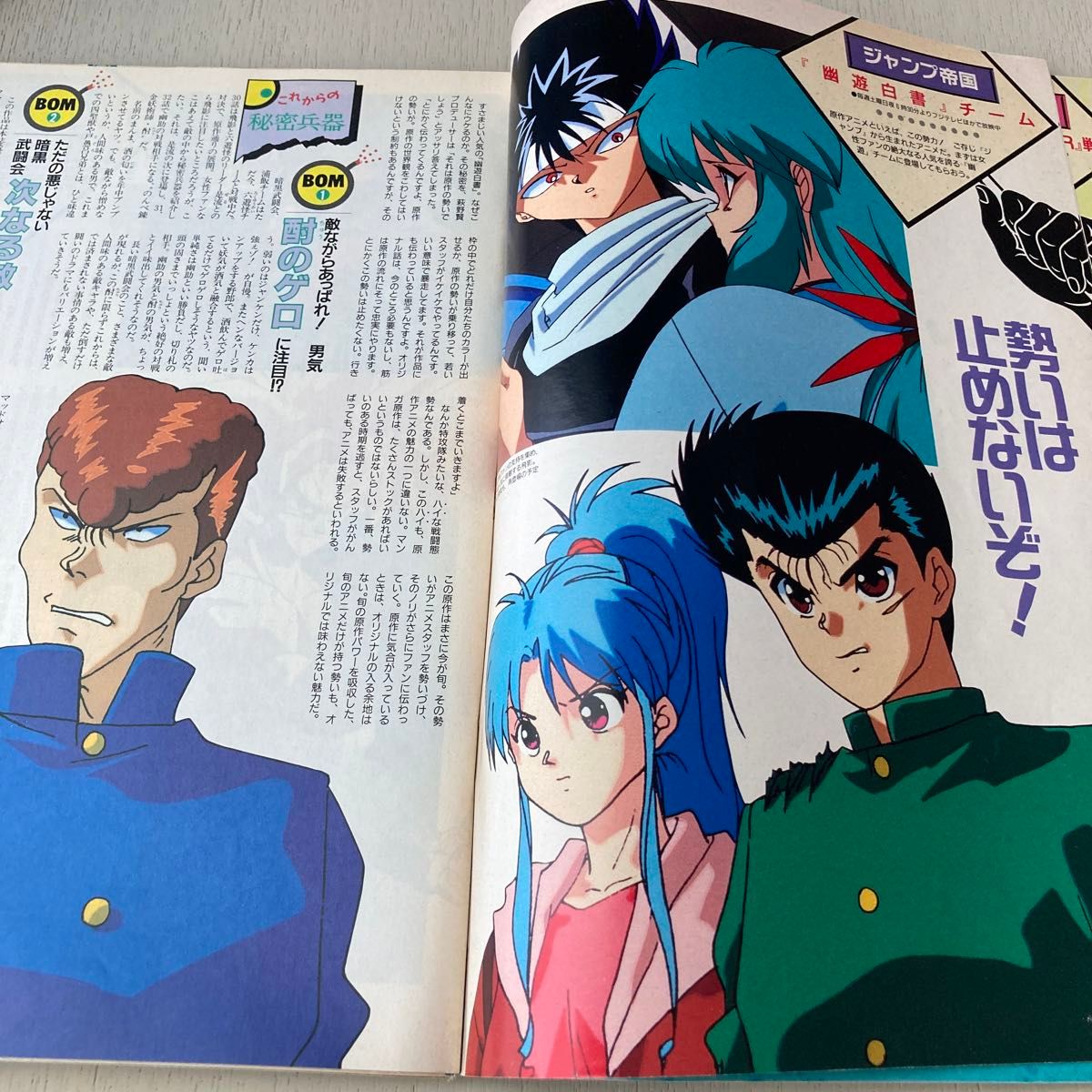 アニメディア　1993年6月号 とじこみ付録　プリンス&プリンセスシール付き