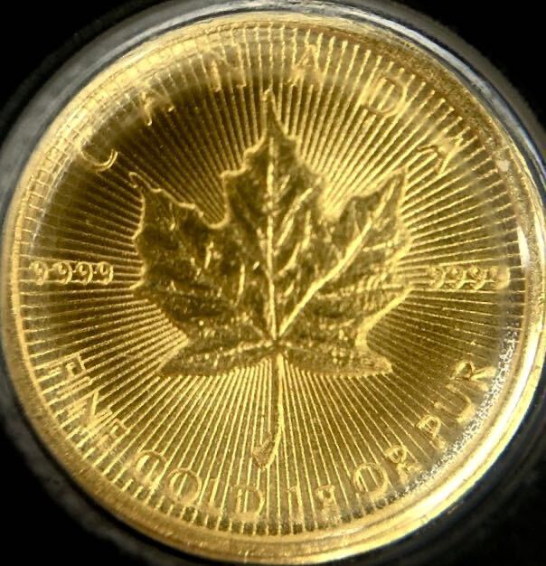 【ご紹介します】カナダ 2023年メイプルリーフ純金貨1g 造幣局密封パック 個体番号入 小さくても現物資産として純金をお手にして下さい②_画像1