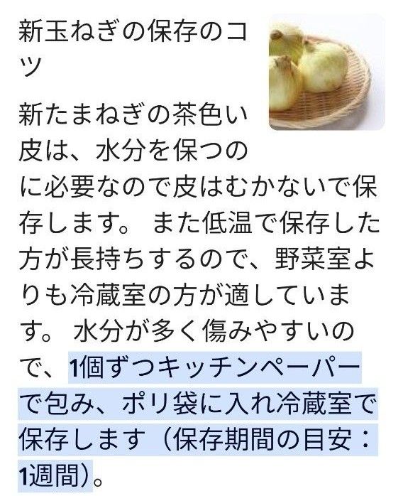 新玉ねぎ　佐賀県産　しろいし玉ねぎ　早生　七宝　七宝早生　農薬　サラダ用玉ねぎ　産地直送 9kg 10kg サラダたまねぎ