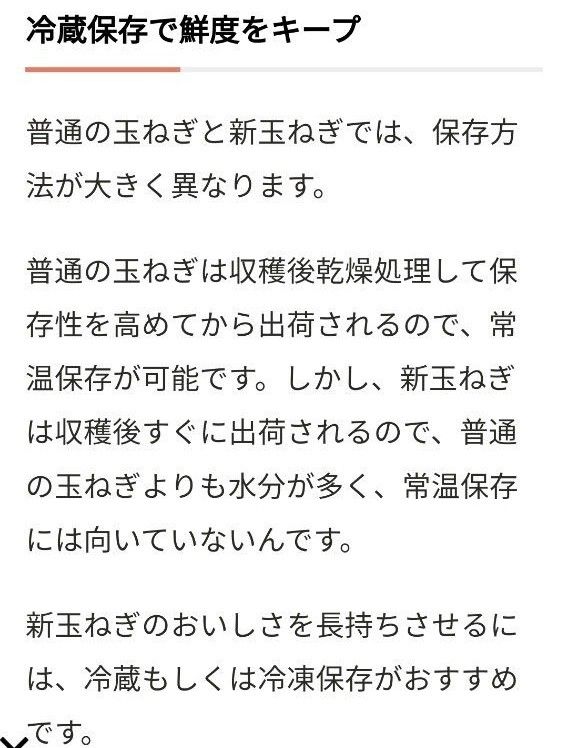 新玉ねぎ　佐賀県産　しろいし玉ねぎ　早生　七宝　七宝早生　農薬　サラダ用玉ねぎ　産地直送 9kg 10kg サラダたまねぎ