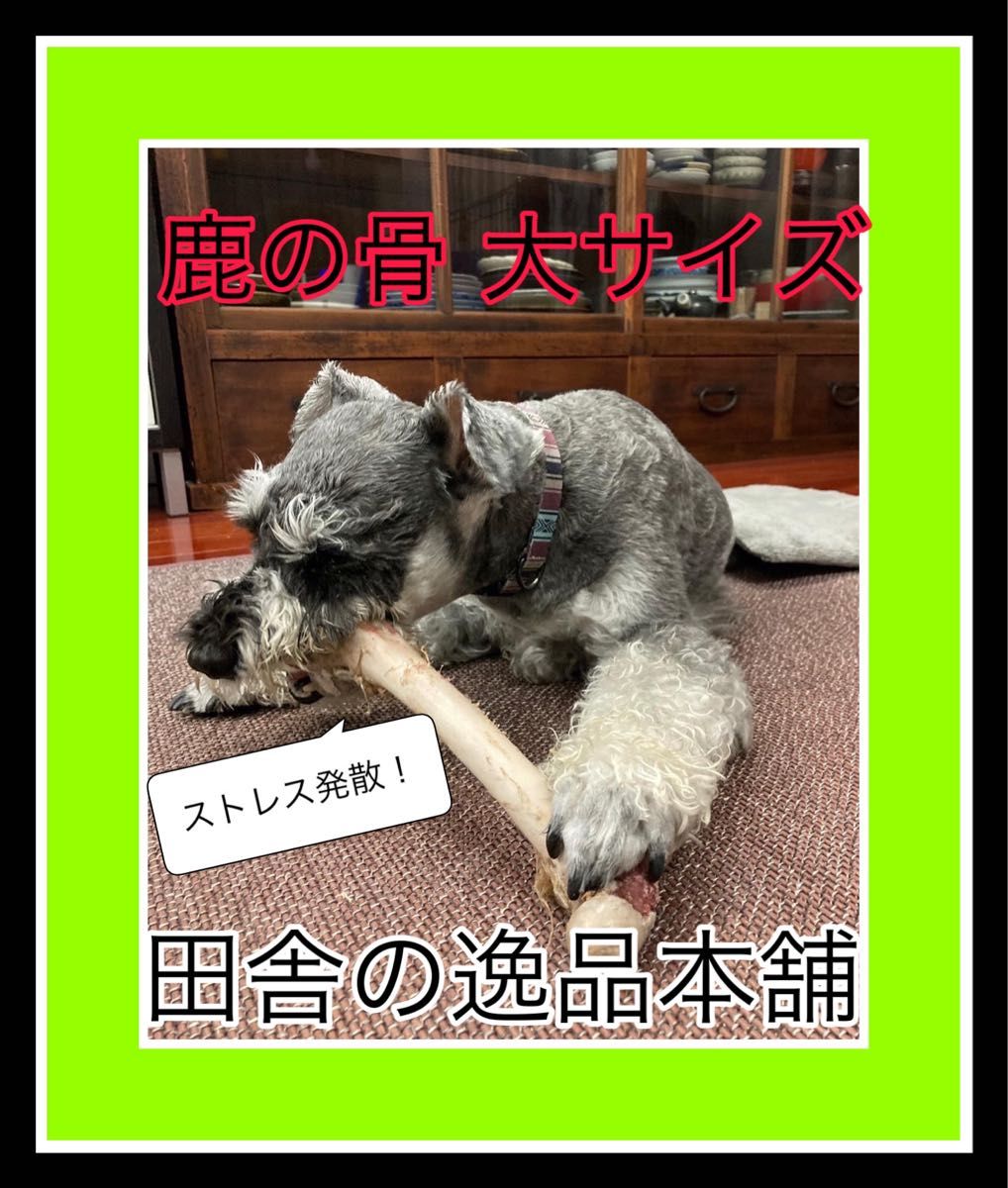 鹿の骨 ゲンコツ 2本150g以上 ストレス発散！ 歯磨き効果やおもちゃとして♪