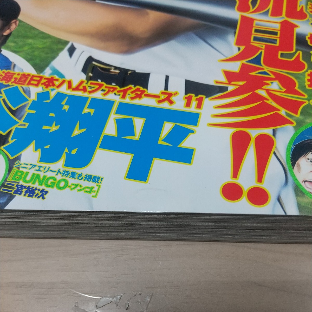 週刊ヤングジャンプ 大谷翔平 2015年 No.17 山本彩の画像2