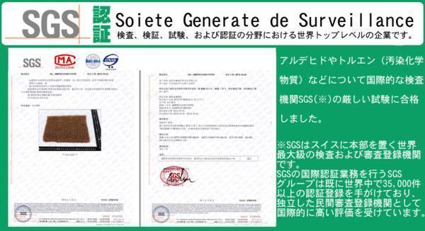 当日発送　ベストワンファイター 標準　コイルフロアマット 運転席/助手席2枚セット H17.10～ 黒_tmat9