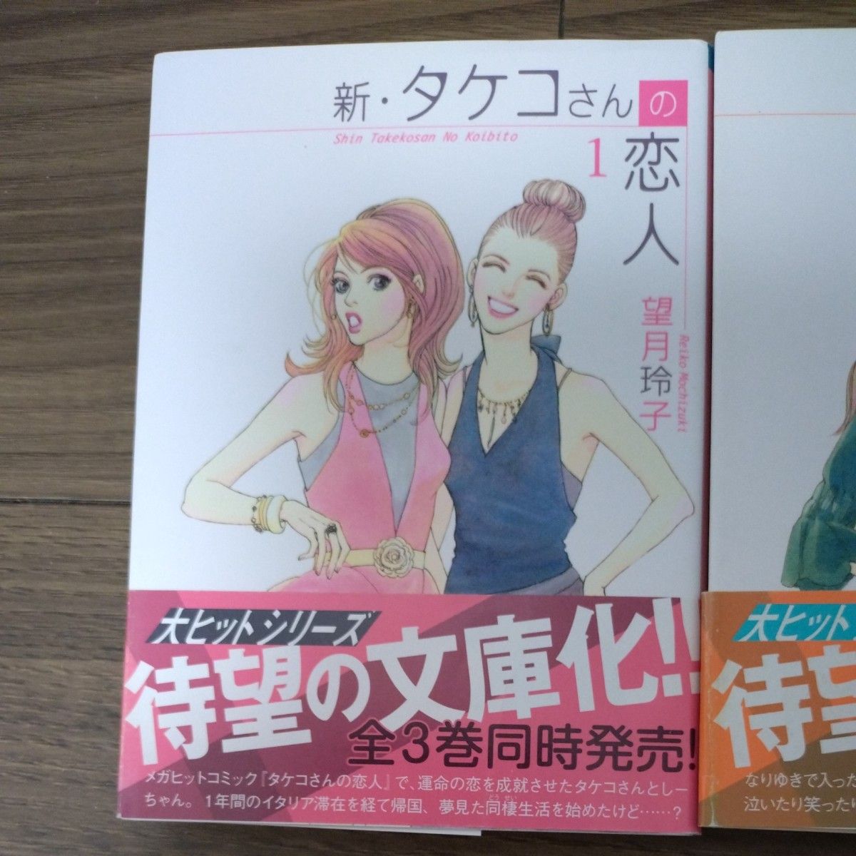  望月玲子　新・タケコさんの恋人　文庫版　全3巻　セット