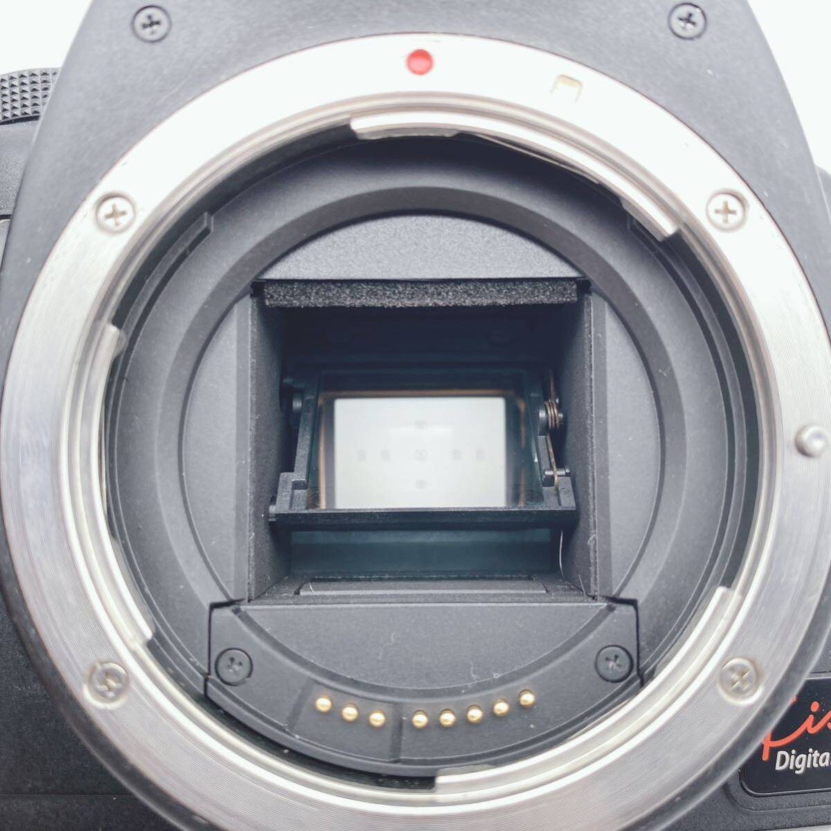 1円スタート Canon キャノン EOS kiss digital n デジタル一眼レフ ソフトケース ボディキヤノン デジタル一眼レフカメラ の画像10