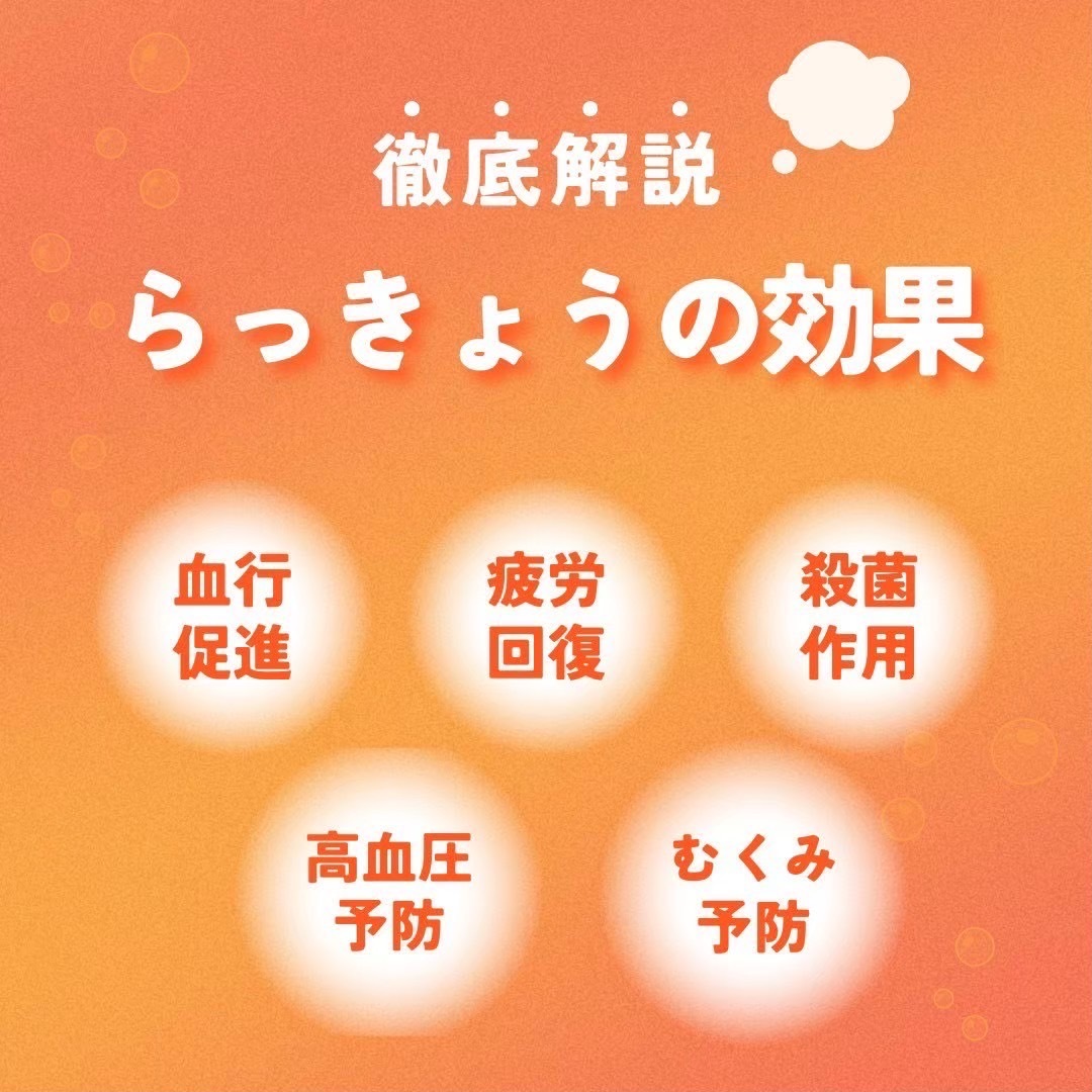 玄米黒酢らっきょう《お試しセット》宮崎 物産 送料無料 ★初めて購入される方のみ限定★九州グルメ 玄米 黒酢 らっきょう ギフト 宮崎県産_画像2