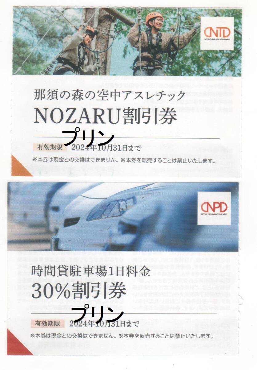 最新 時間貸駐車場1日料金 30％割引券と那須の森の空中アスレチックNOZARU割引券 各1枚 日本駐車場開発 株主優待券 2024年10月31日迄_画像1