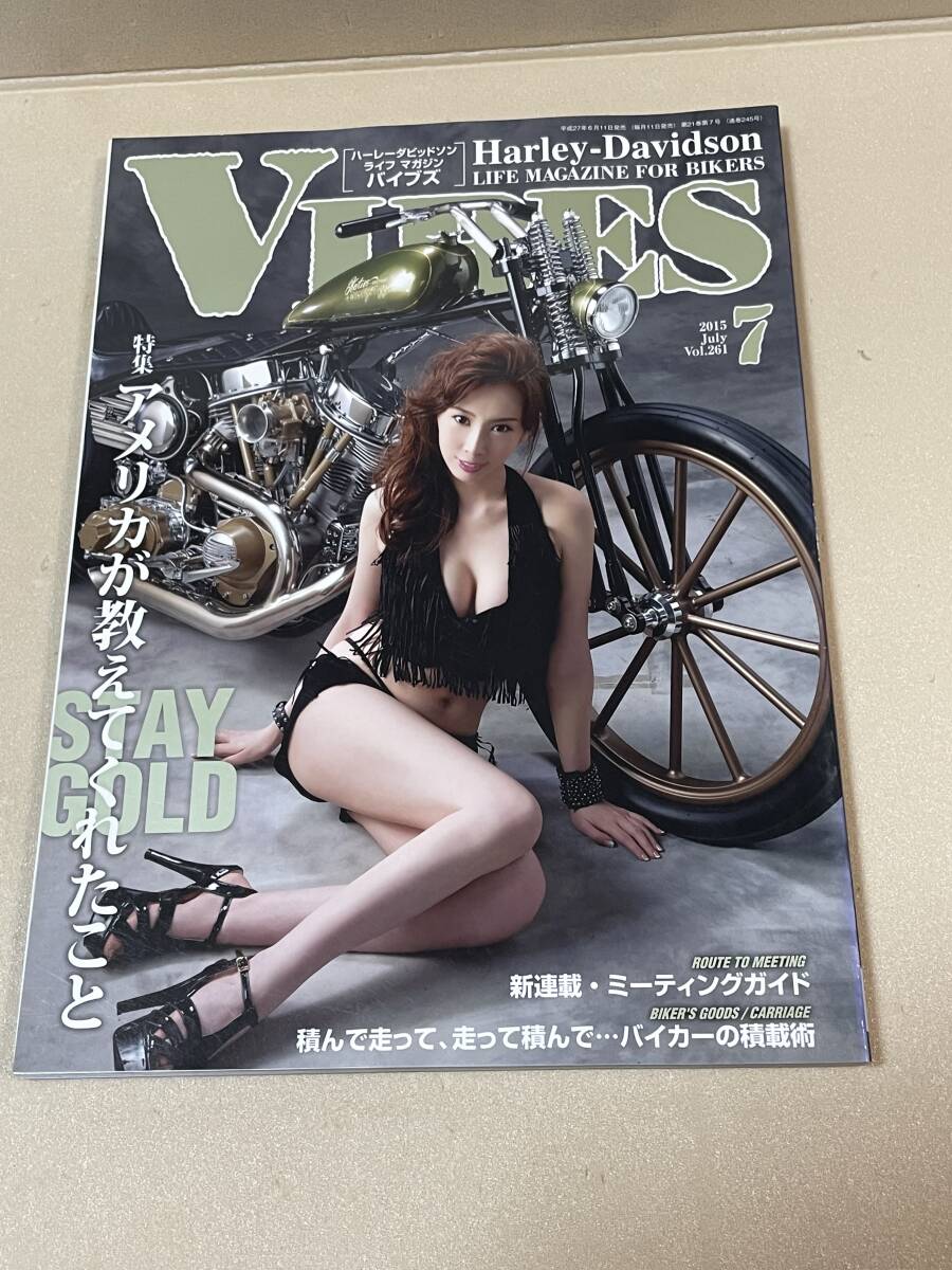 VIBES【バイブズ】2015年7月号 [雑誌] _画像1