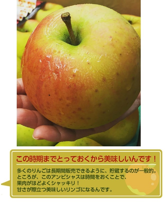 [ capital. fruits shop ] ultimate special selection! Anne bi car s* Aomori prefecture production * anyway .. illusion. apple ⑱/4.5