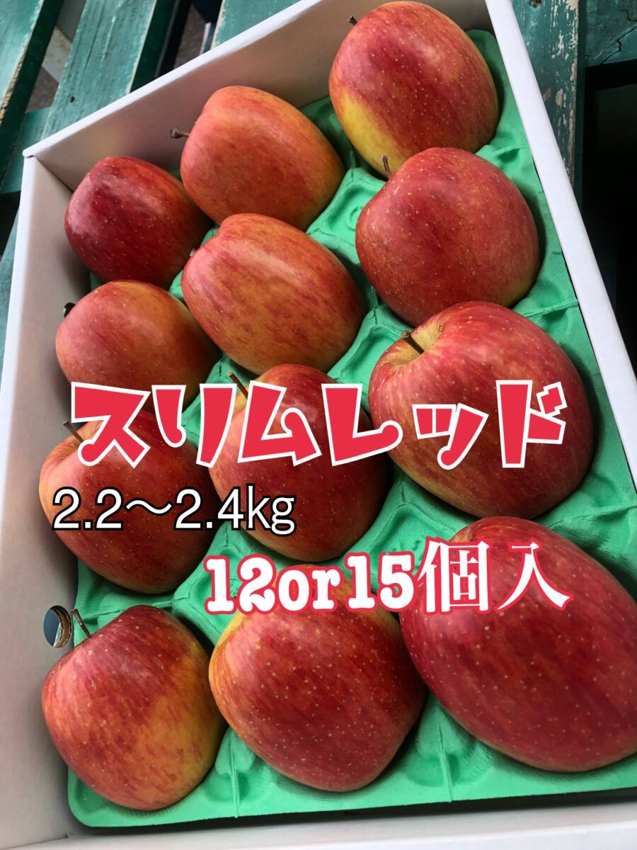 【京の果実屋】リンゴ《丸かじり好きにはたまらない》スリムレッド 2.2kg 青森県産の画像6