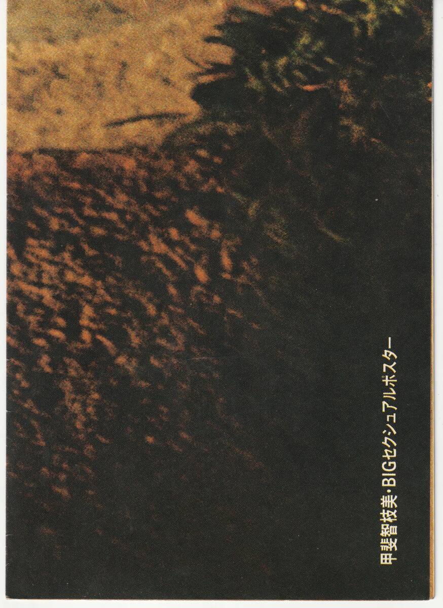 甲斐智枝美写真集 つれてって 撮影・鶴田義久 ★ポスター＆帯付き 学習研究社 1982の画像3