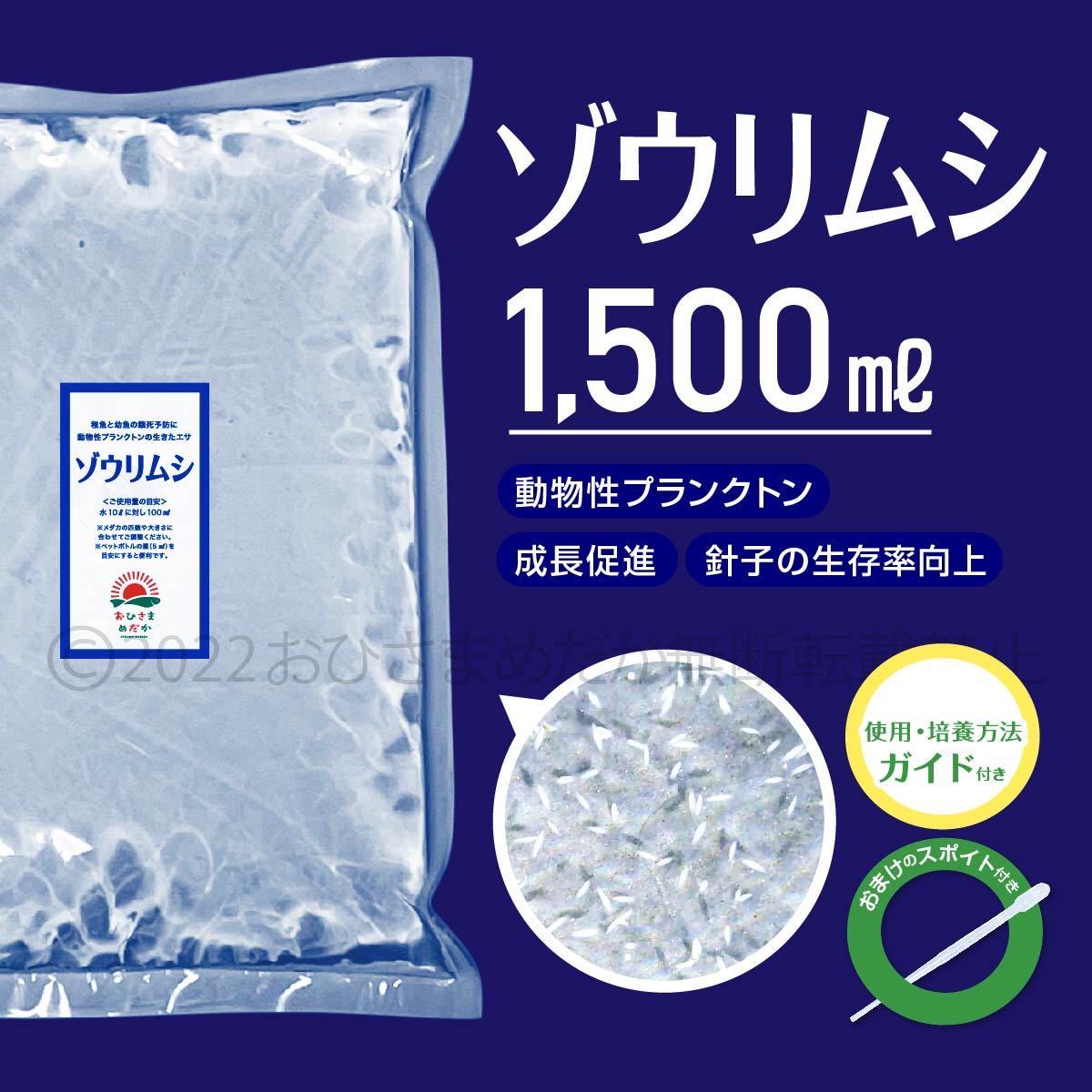 【ゾウリムシ　種水　1500ml】めだか　メダカ　針子 稚魚　餌　psb　 金魚　青水　PSB　クロレラ　ミドリムシ 針子メダカ卵に スポイトあり_画像1